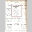 画像4: 【BACCARAT】バカラ　木の葉型小皿5客 (4)
