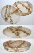 画像3: 【LALIQUE】ルネ・ラリック　Roses en Relief 蓋物 (3)