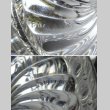 画像3: 【BACCARAT】バカラ　Bambous torsアイスバケット (3)