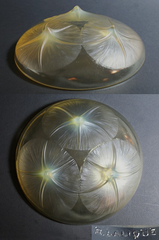 画像4: 【LALIQUE】ルネ・ラリック　VOLUBILIS 浅鉢（黄色） (4)